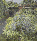 Railway Bridge Spring  