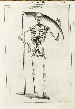 GUIDI, Guido (1508-1569). De anatome corporis humani libri VII. Venice: Giunta, 1611.
