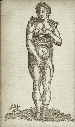 READ, Alexander (1580-1641). Somatographia Anthropine, or a Description of the Body of Man. . By Artificiall Figures representing the members... London: W. Jaggard, 1616.
