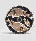 A CAMPANIAN RED FIGURE FISH PLATE  