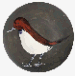 Oiseau no.96  