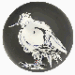 Oiseau no.76  