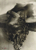 Nude, 1930s  