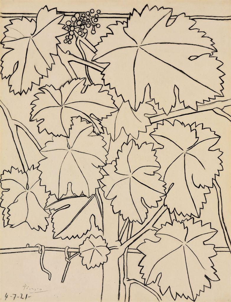 Picasso Contour Line Drawing : Pablo picasso la vigne christie s