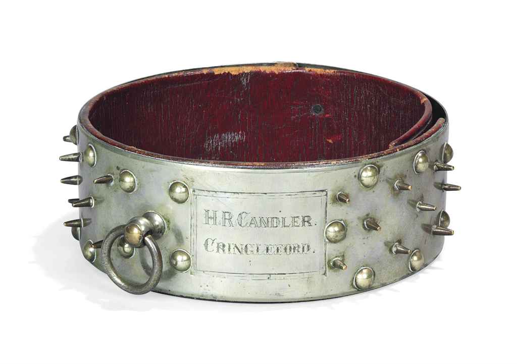 Mid Century Modern Dog Collars Mid Century Modern Dog Collars