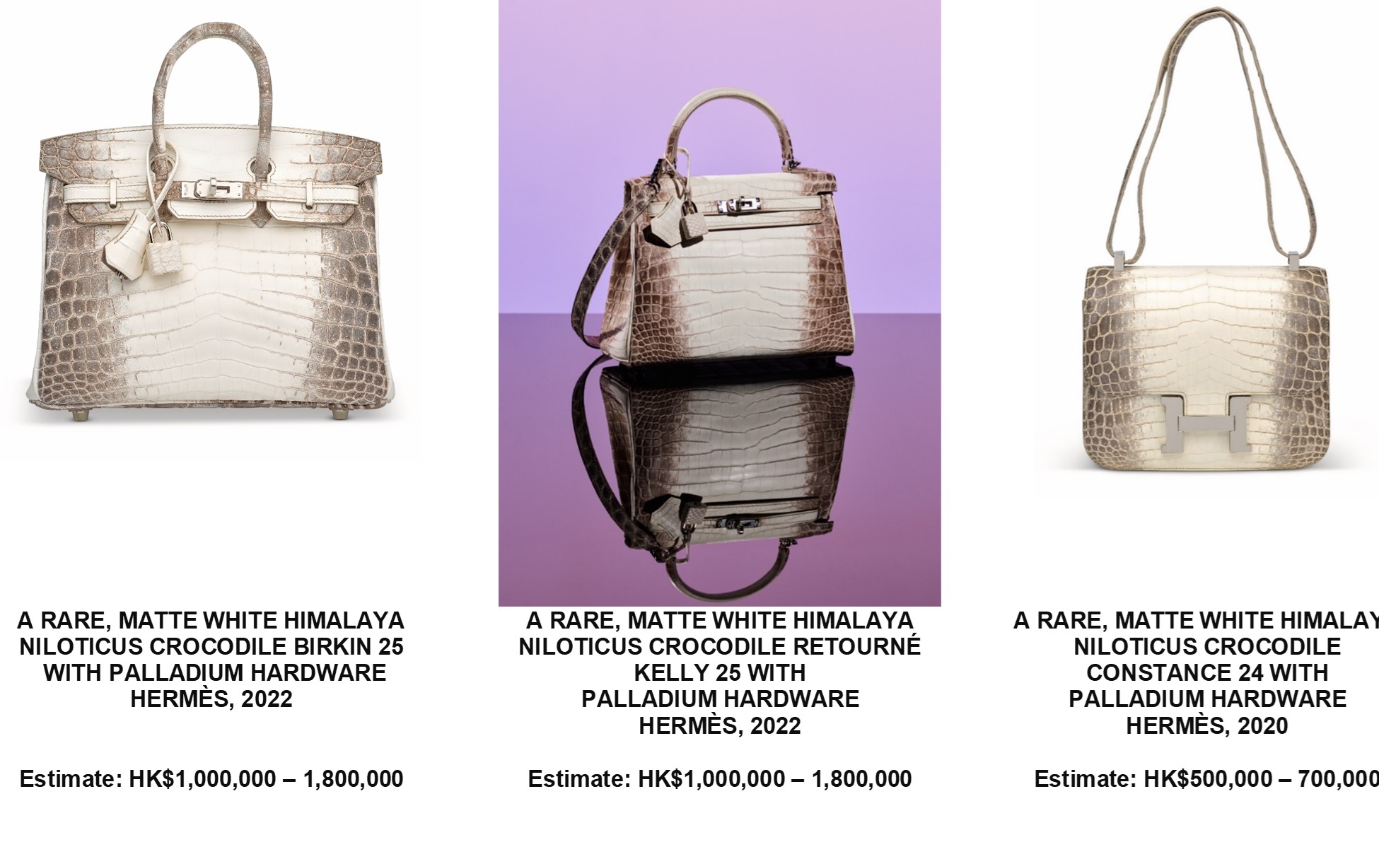 The Rarity And Exclusivity Of The Iconic Hermes Himalayan Birkin