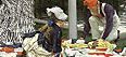 An English Impressionist