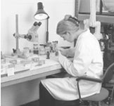 Staff image