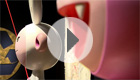 Video 01