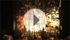 Video 01