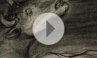 Video 01