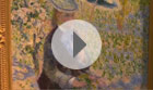 Video 01