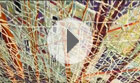 Video 01
