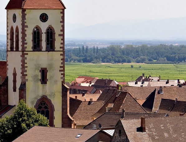 Wine and Gastronomy in Alsace