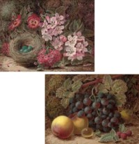 A bird's nest with pansies and hawthorn blossom; and Apples, grapes and greengages