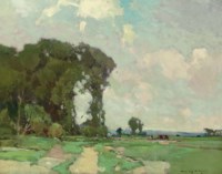 A Summer Day