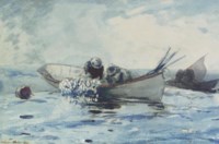 Herring Fishing