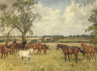 Hunters in a field