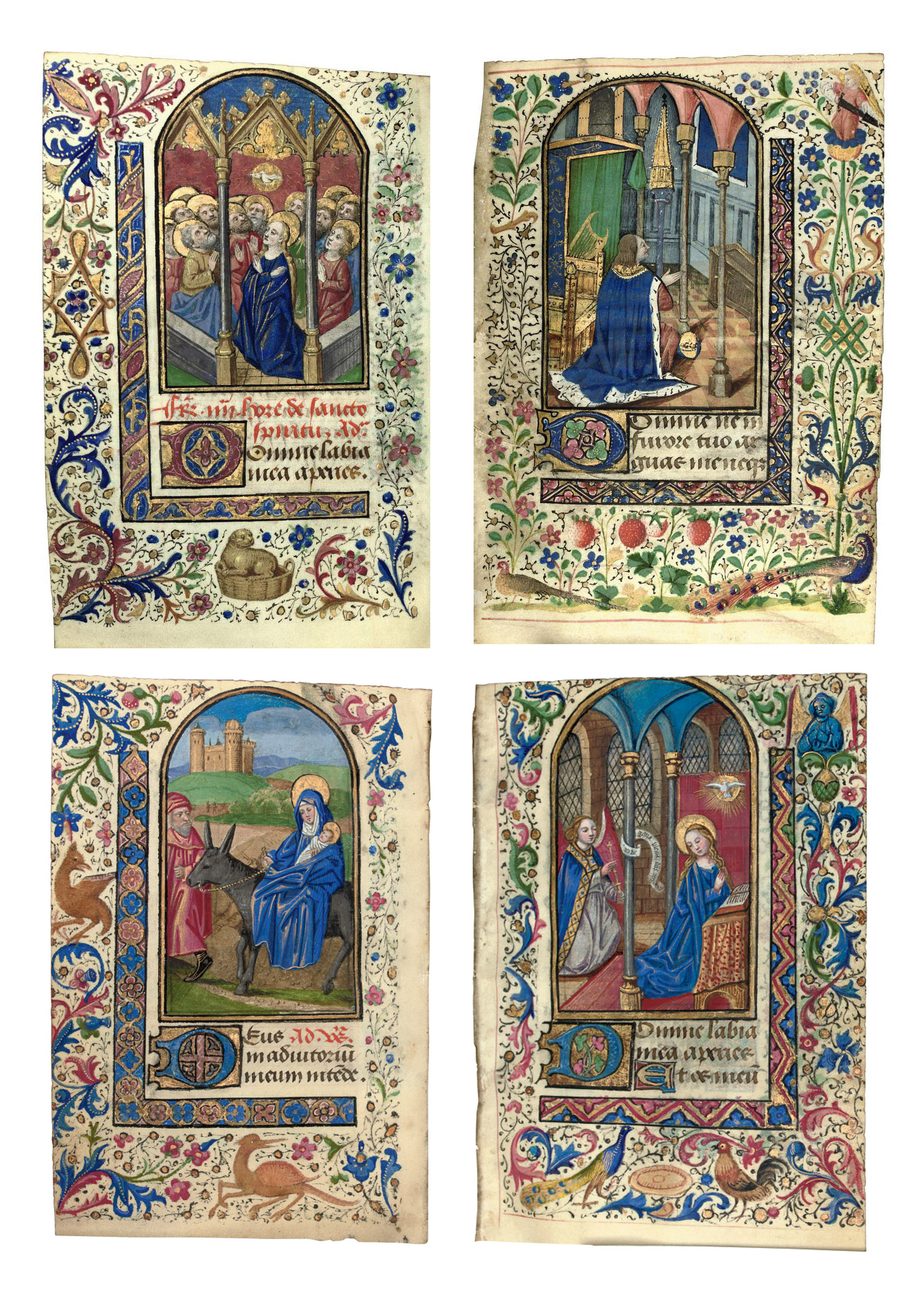 book manuscript