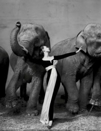 Dovima with elephants, Evening dress by Dior, Cirque d'Hiver, Paris, August 1955