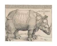 The Rhinoceros
(B. 136; M., Holl. 241; S.M.S. 241)