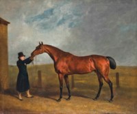 Truffle, owned by Colonel Udney