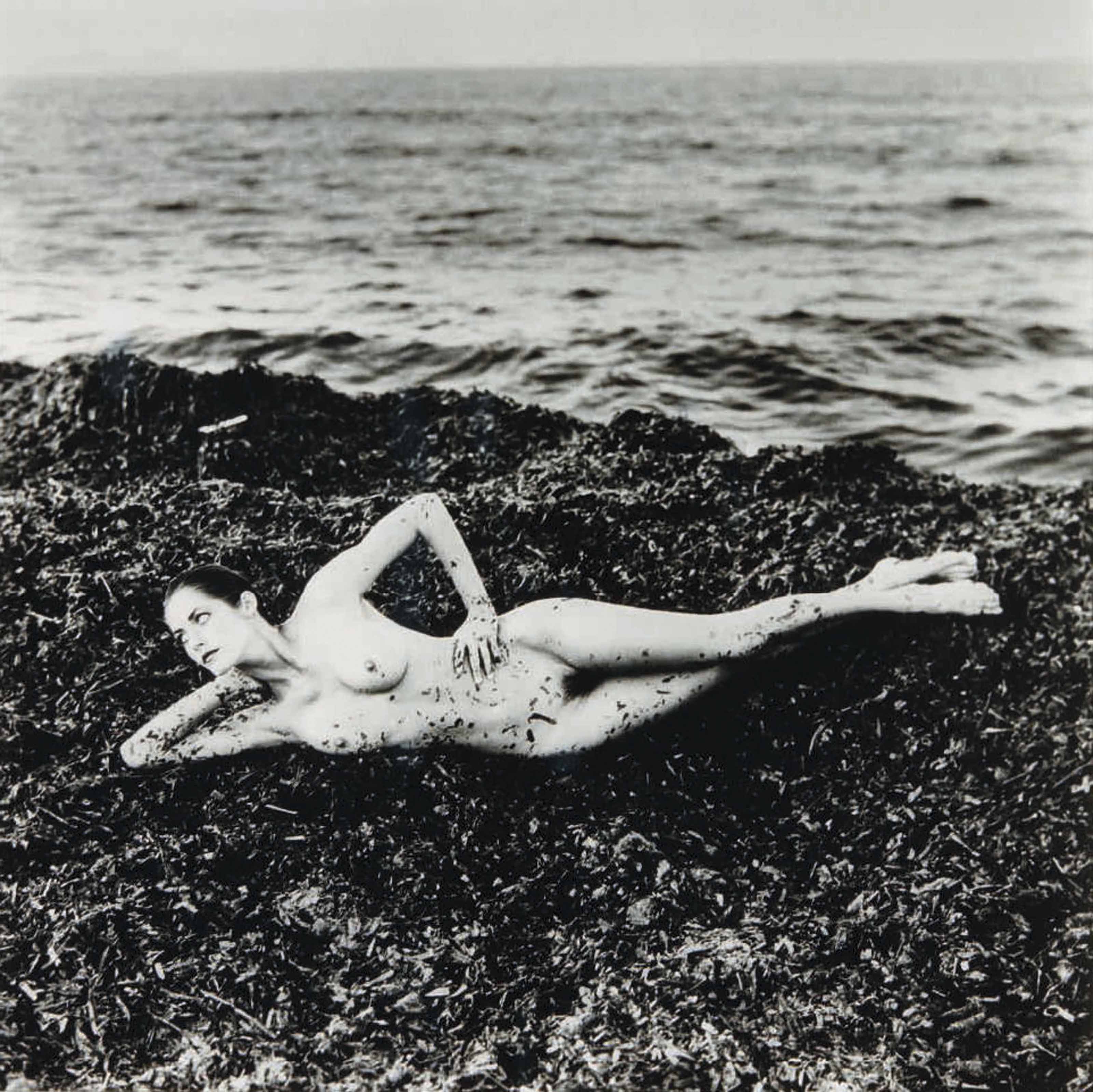 HELMUT NEWTON 1920 2004 Nude On Seaweed Saint Tropez 1984