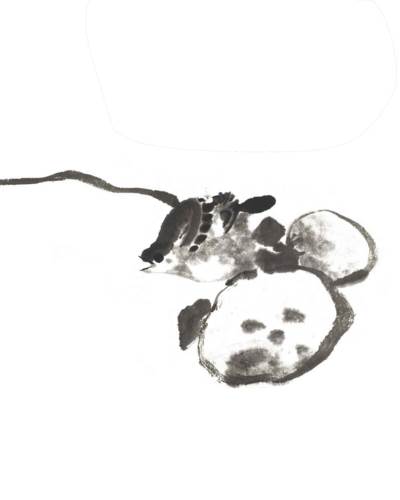 Fine Chinese Classical Paintings and Calligraphy