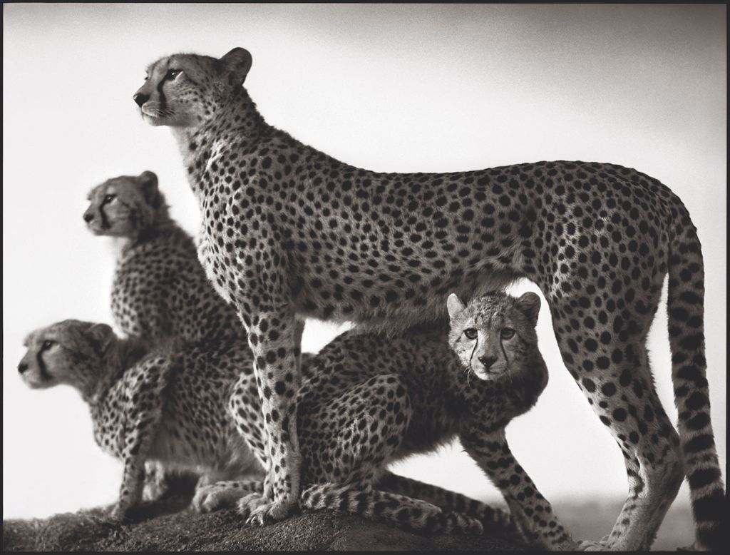 Source: Christie's Image
