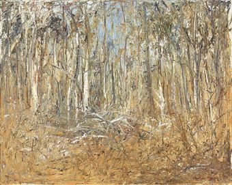 Bush landscape  