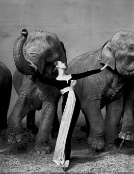 Dovima with elephants, Evening dress by Dior, Cirque d'Hiver, Paris, August 1955 