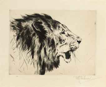 i am 51 and going to get my first tattoo of a lion head i am 51 and going to get my first tattoo of a lion head