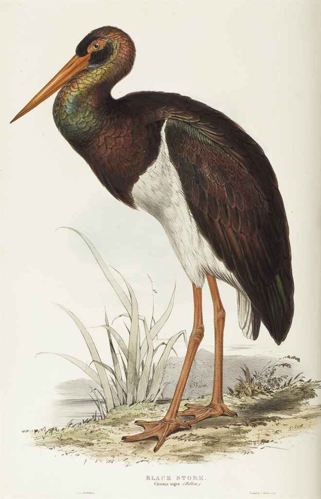 Source: Christie's Image