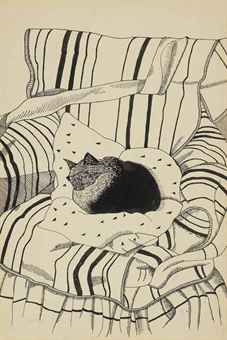 The Sleeping Cat  