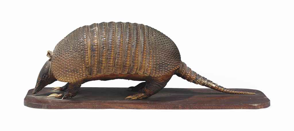 taxidermy armadillo