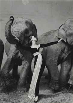 avedon elephants