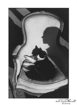 http://www.christies.com/lotfinderimages/D56002/henri_cartier-bresson_our_cat_ulysses_and_martines_shadow_1988_d5600247h.jpg