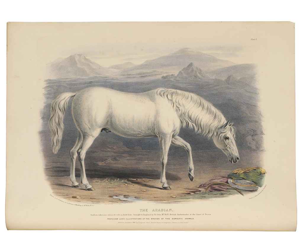 Source: Christie's Image