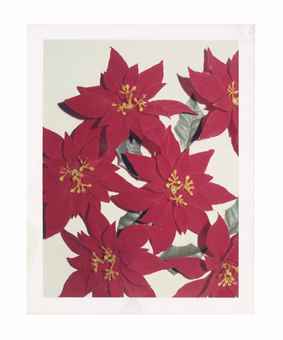 Christmas Poinsettias, 1970s  