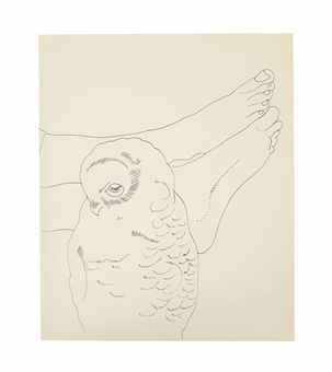 Owl and Feet  