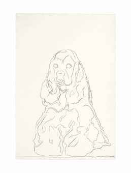 Dog (King Charles Cavalier Spaniel)  