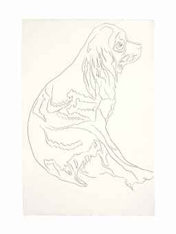 Dog (Cocker Spaniel)  