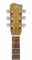 GALLAGHER GUITAR CO. 
