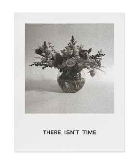 Goya Series: There Isn't Time  