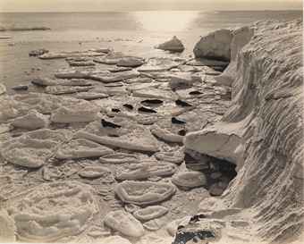 Seals Basking on Pancake Ice, Antarctica, c. 1911  
