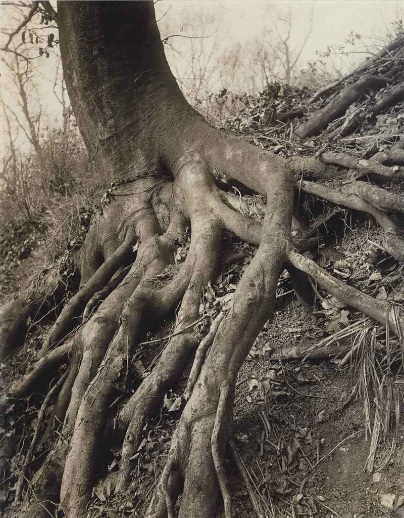 EUGÈNE ATGET (1857-1927)