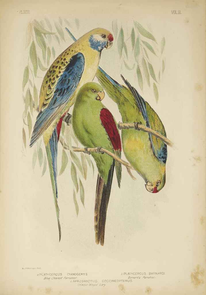 Source: Christie's Image