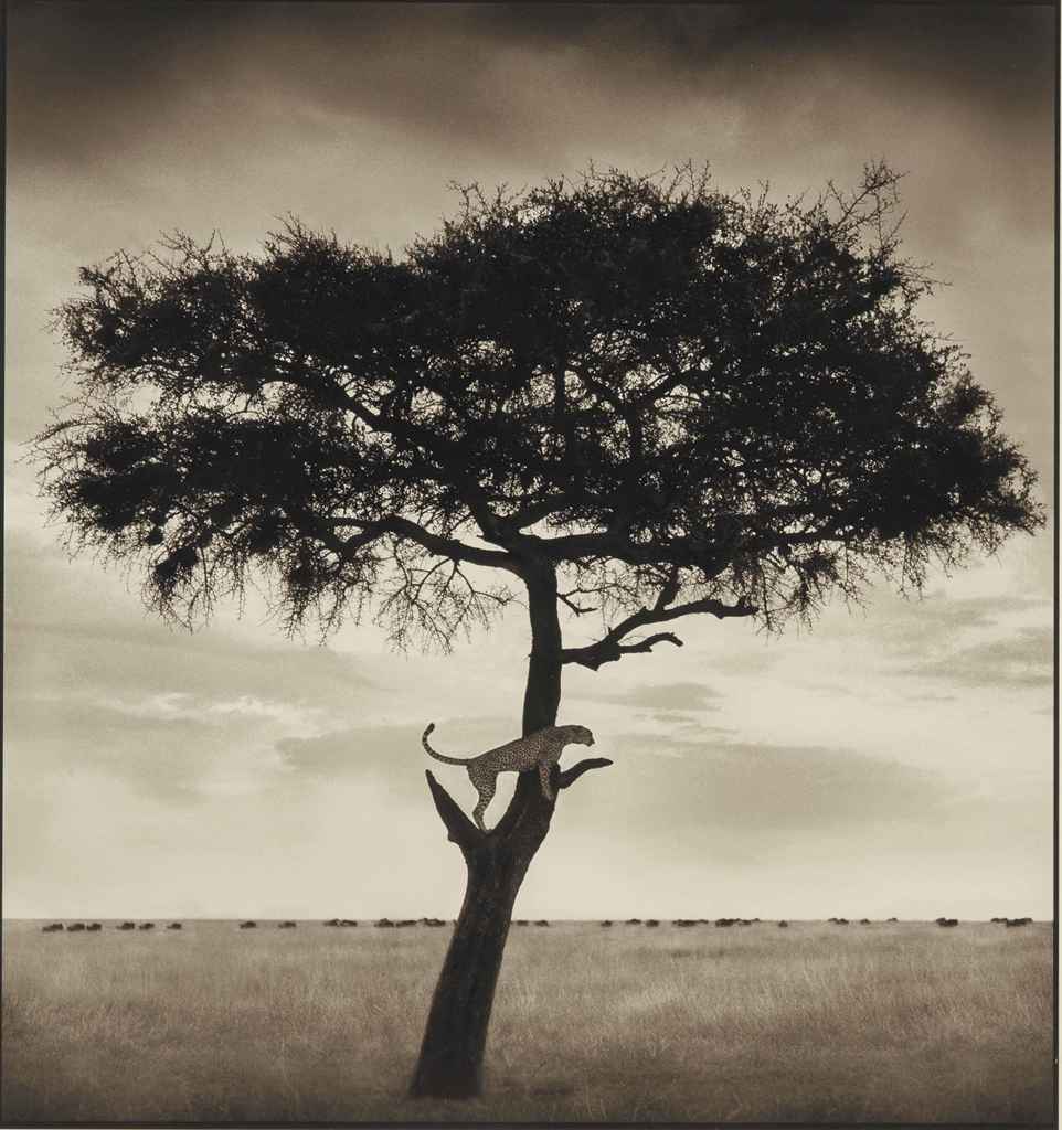 Source: Christie's Image