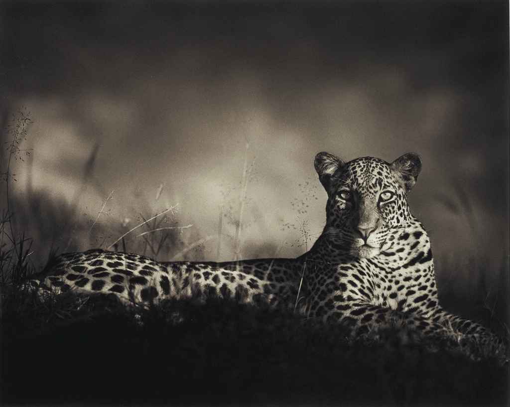 Source: Christie's Image