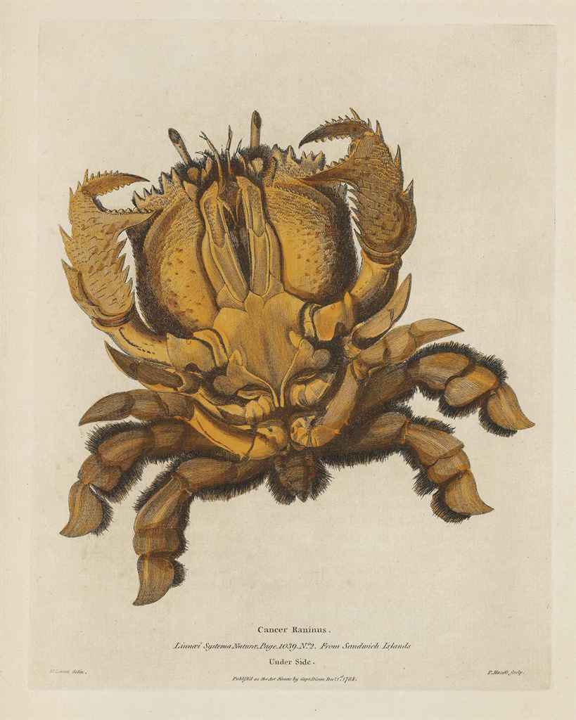 Dixon auctions, appraisal insights and free art price